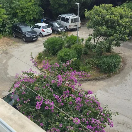 Apartment Mango 2